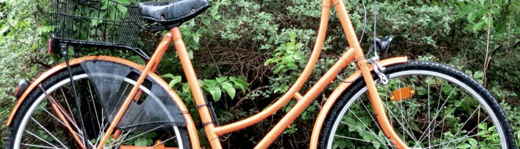 fahrrad betrunken führerschein verlieren in der probezeit